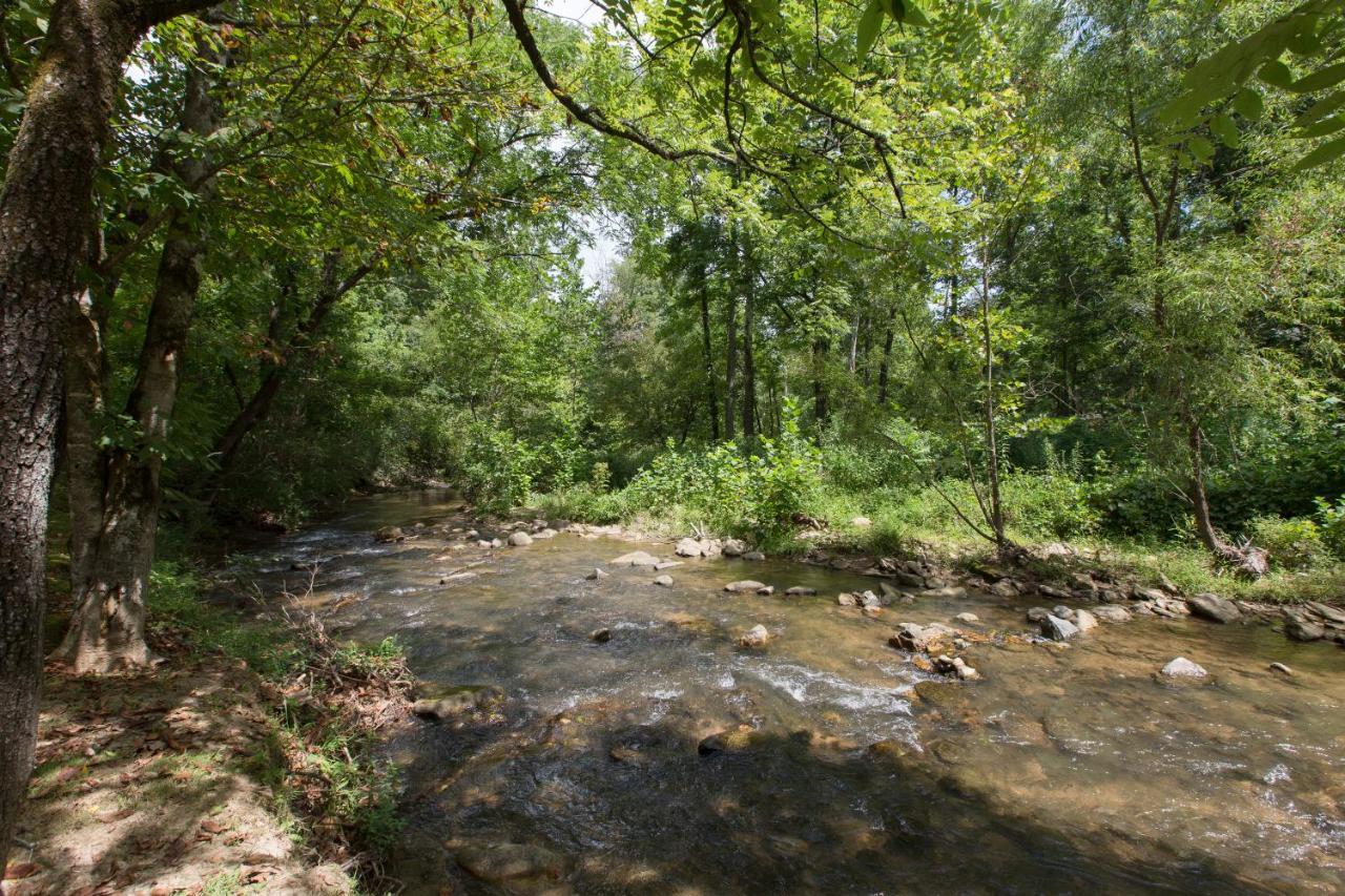 Villa Reedy Patch Cabin Hendersonville Exterior foto