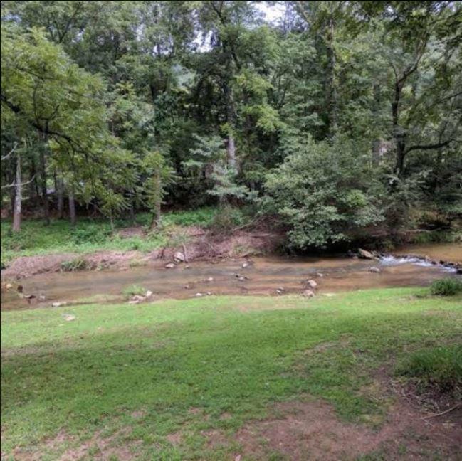 Villa Reedy Patch Cabin Hendersonville Exterior foto